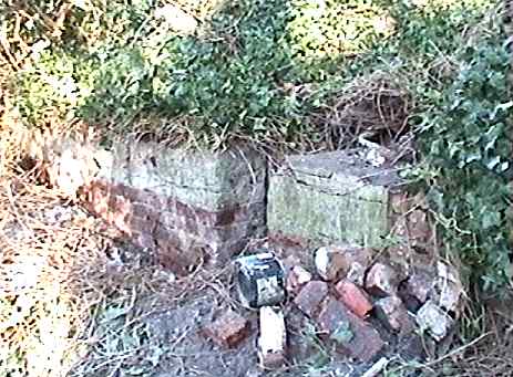 View of the Victorian Cesspit