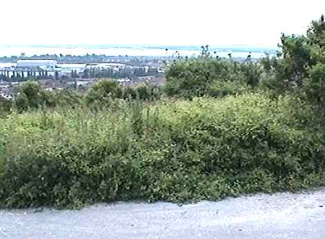 site of the 5th portal