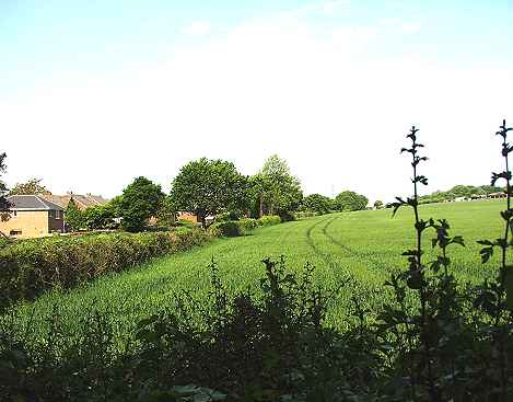 Winnham Farm