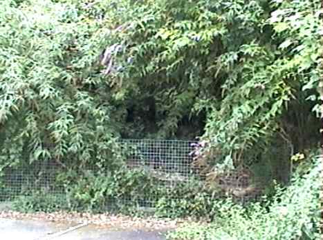 Location of the London Road tunnel shelter