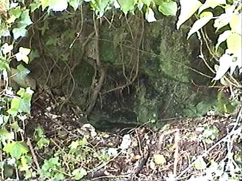 top of the western escape portal 
