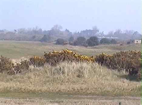 Sinah Common sub control