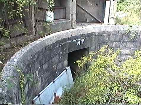 Nelson HAA - gunpit