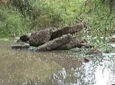 Southwick HAA remains