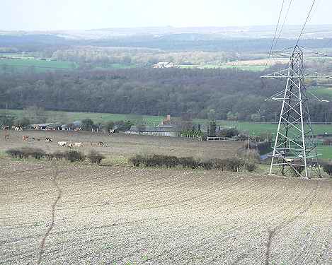 The crash site at Pigeon House Farm