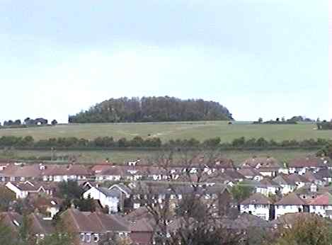 dead man's copse