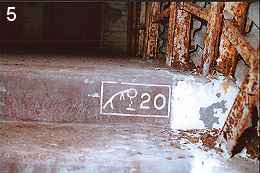 20 steps