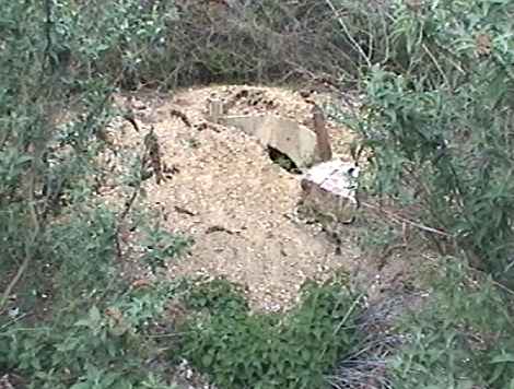 Long shot of portal number 2