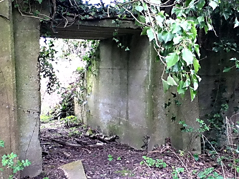 Tunnel