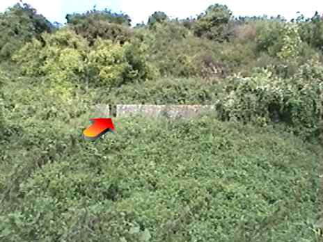 long shot of the unknown structure