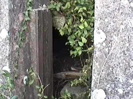close up of the left slot