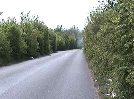 pinks hill
