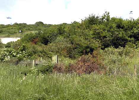 site of weapons pit