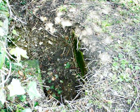 Reverse side of collapse