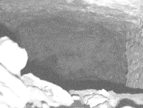 enhanced photo