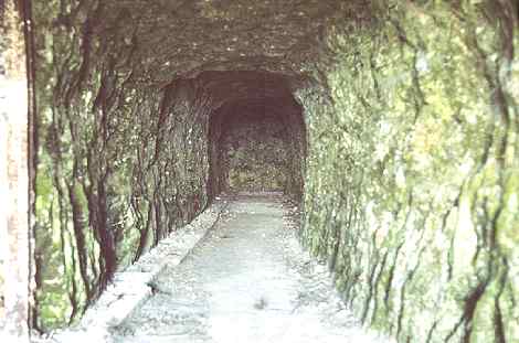 entrance tunnel