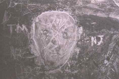 the Paulsgrove skull