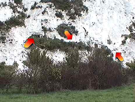 long shot of the pounds shelter in the paulsgrove chalkpit