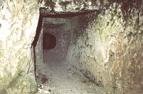 cooper-pounds shelter connecting tunnel