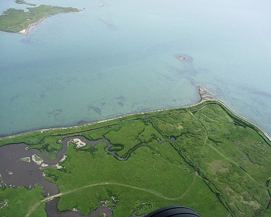 Farlington Marshes - south east
